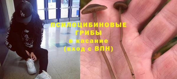 сатива Дмитров