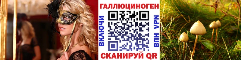Псилоцибиновые грибы Psilocybine cubensis  Купить закладки  Отрадный 
