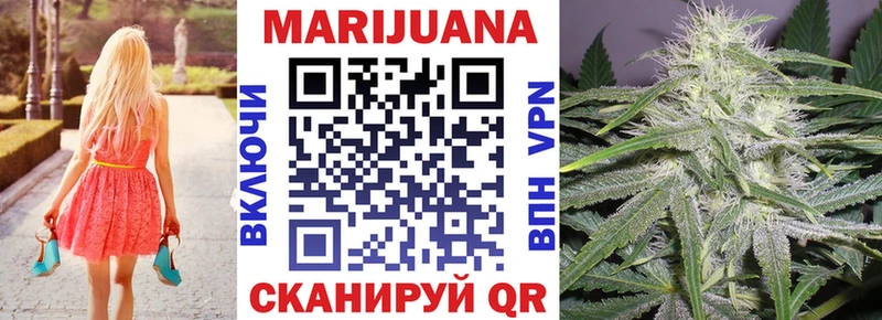 Купить где  Отрадный  Каннабис планчик 